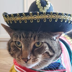 ❤️ WE LOVE OFFERS